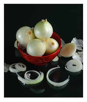 Still Life with Onions and Red Bowl